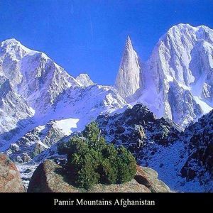 Meet your Posher, Abdul